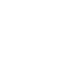 Segel Technology